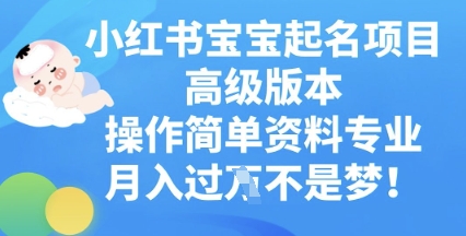 小红书宝宝起名项目高级版本，操作简单，资料专业，月入过W-酷知号