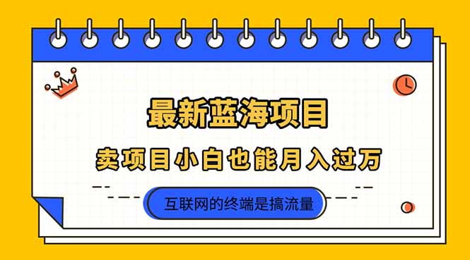 （14289期）2025年最新蓝海项目，卖项目小白也能月入过万-酷知号